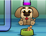 Feed my pet dog numbers bolt HTML5 jtk